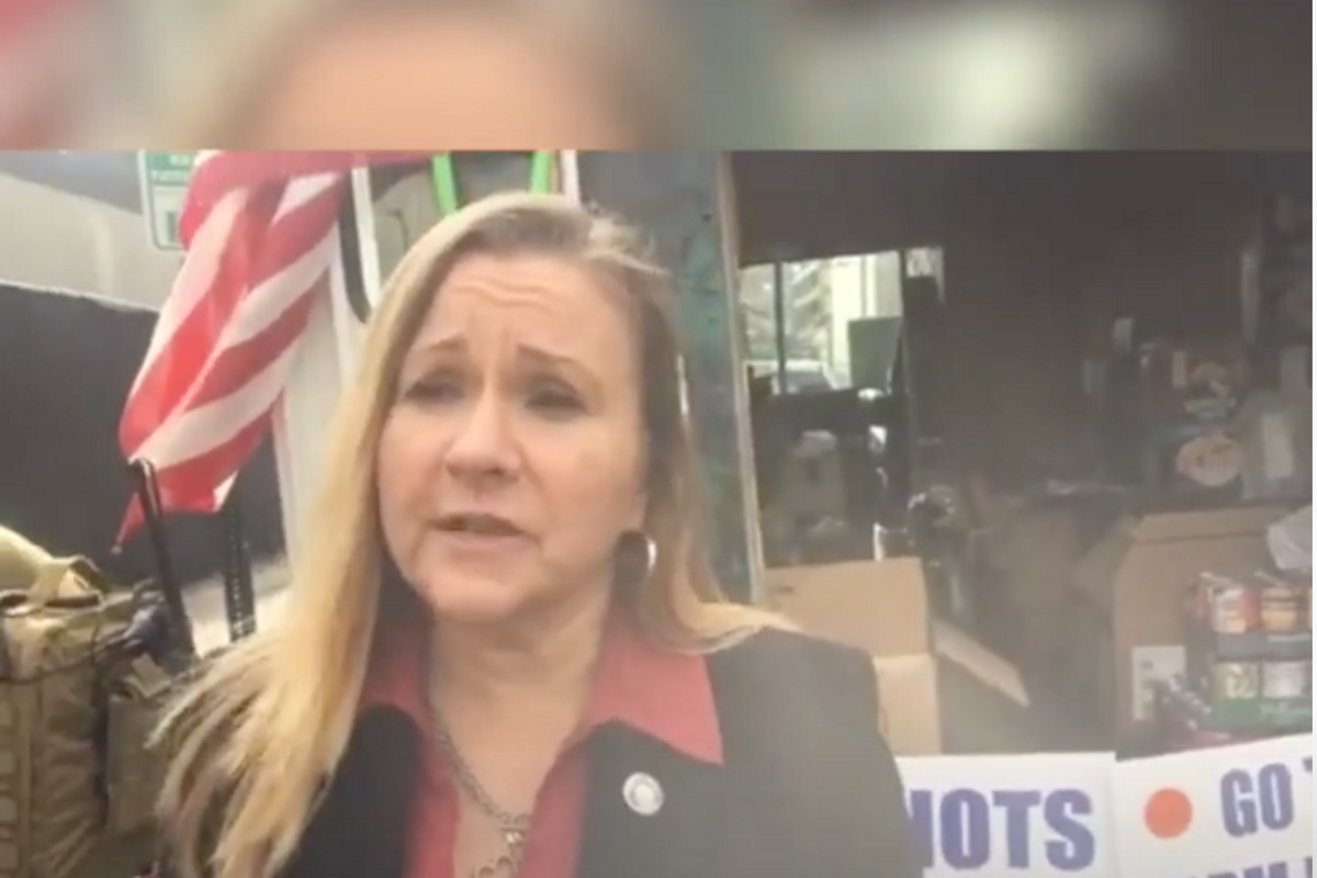 Virginia State Sen Suing Colleagues Because Everybody Thinks She's An Asshole