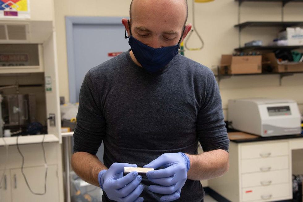 Metalmark biomimicry