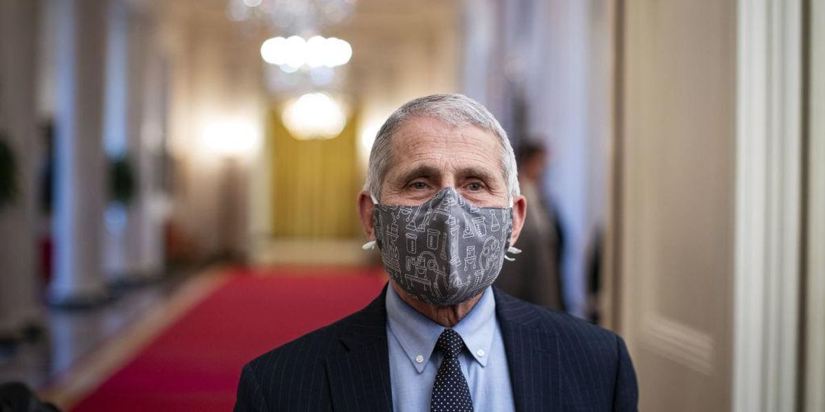 Horowitz: Ruling class openly saying fascism and masks will NEVER end. Will we FINALLY wake up?