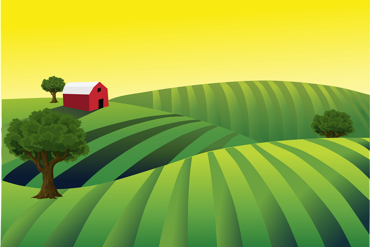 Virginia Farmworkers Edge Closer To Making Minimum Wage, Which They Were Not Already Doing