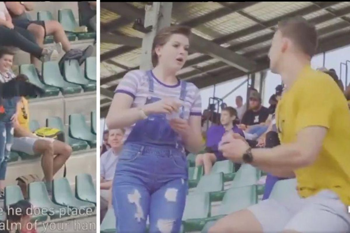 Man enlists the help of a cockatoo for one of the most unique proposals ever caught on video