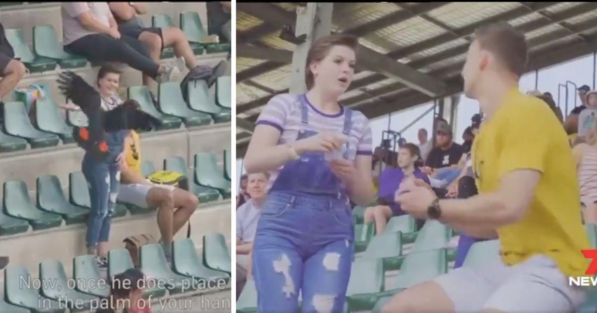 Man enlists the help of a cockatoo for one of the most unique proposals ever caught on video
