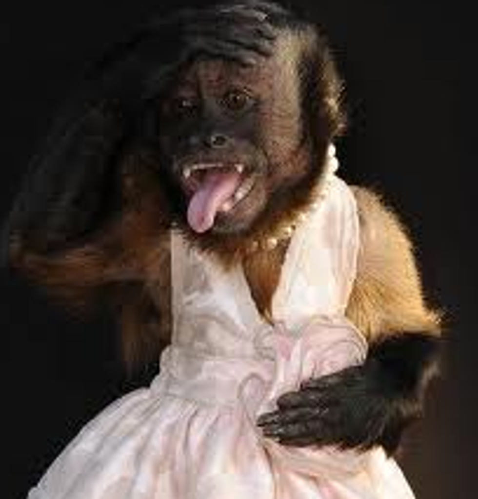 Lady Gaga Tries On A Wedding Dress Irl Crystal The Monkey Makes