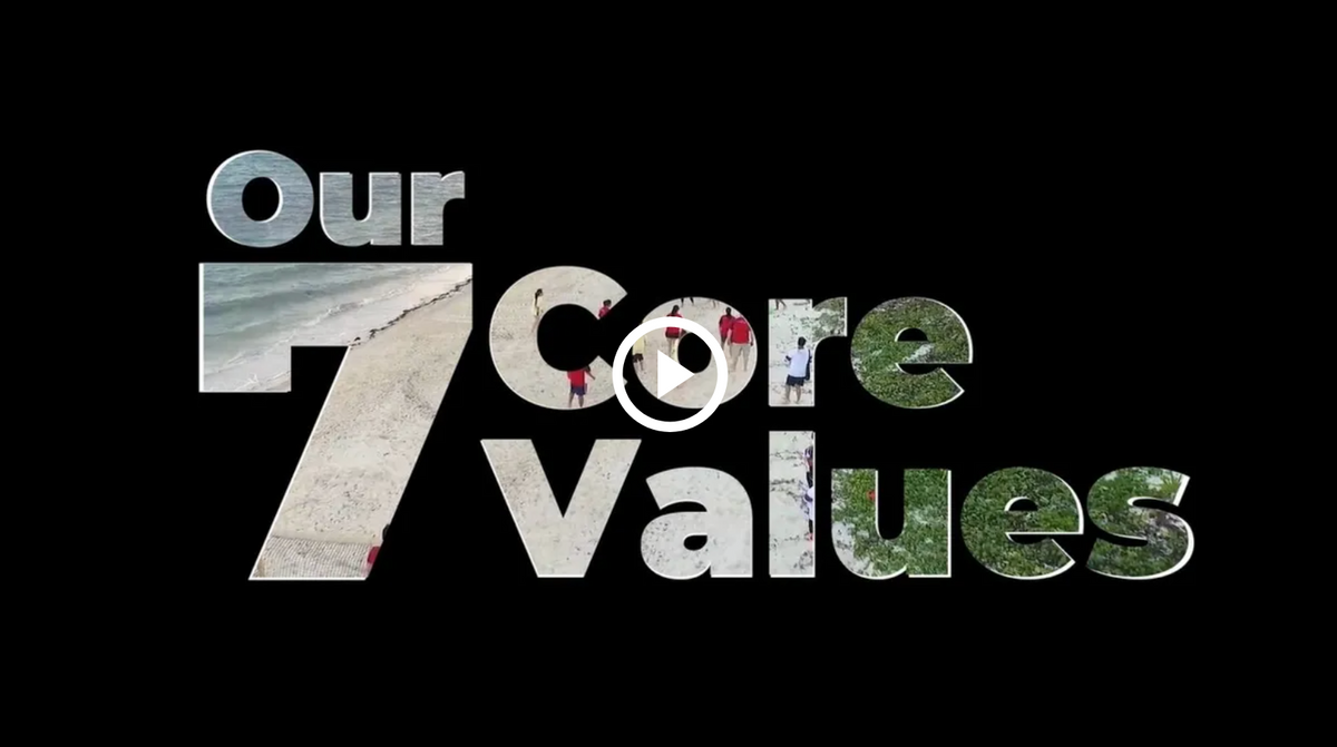 SoftwareONE Core Values