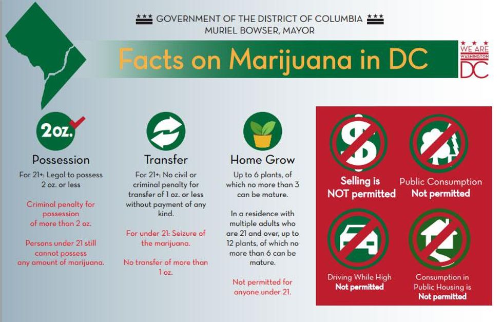 marijuana in DC