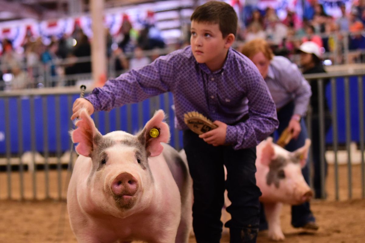 Rodeo Austin cancels ProRodeo for second year in a row