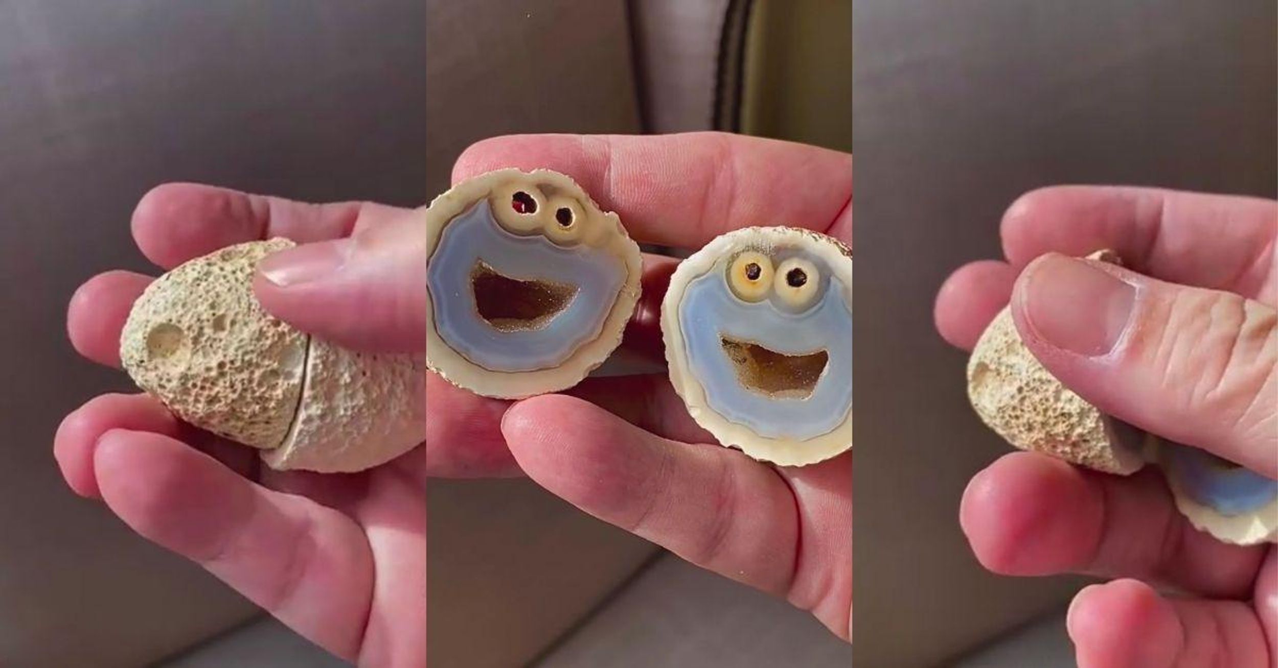 Cookie Monster Says What We're All Thinking After Discovery Of Rock Whose Insides Look Just Like Him