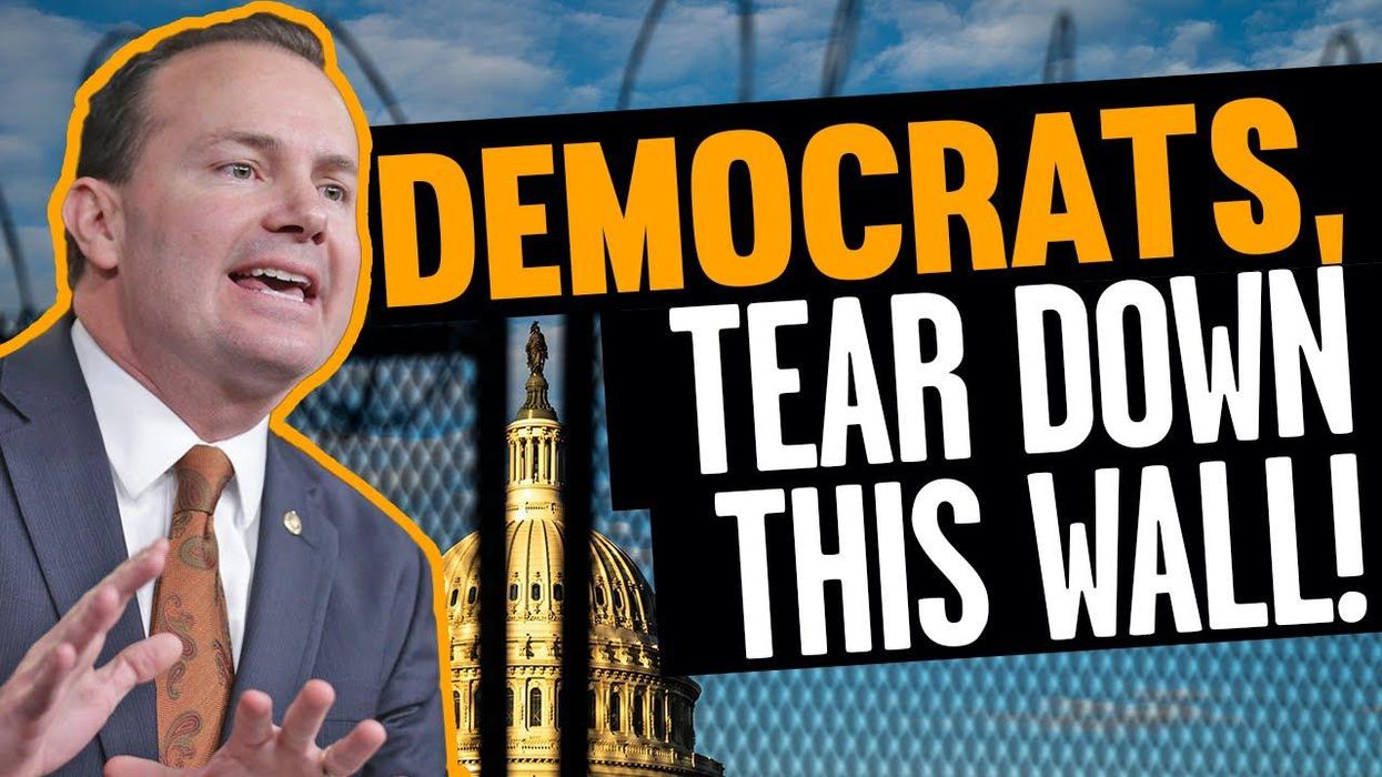 Sen. Mike Lee CALLS OUT Democrats for ENJOYING Trump impeachment trial smear