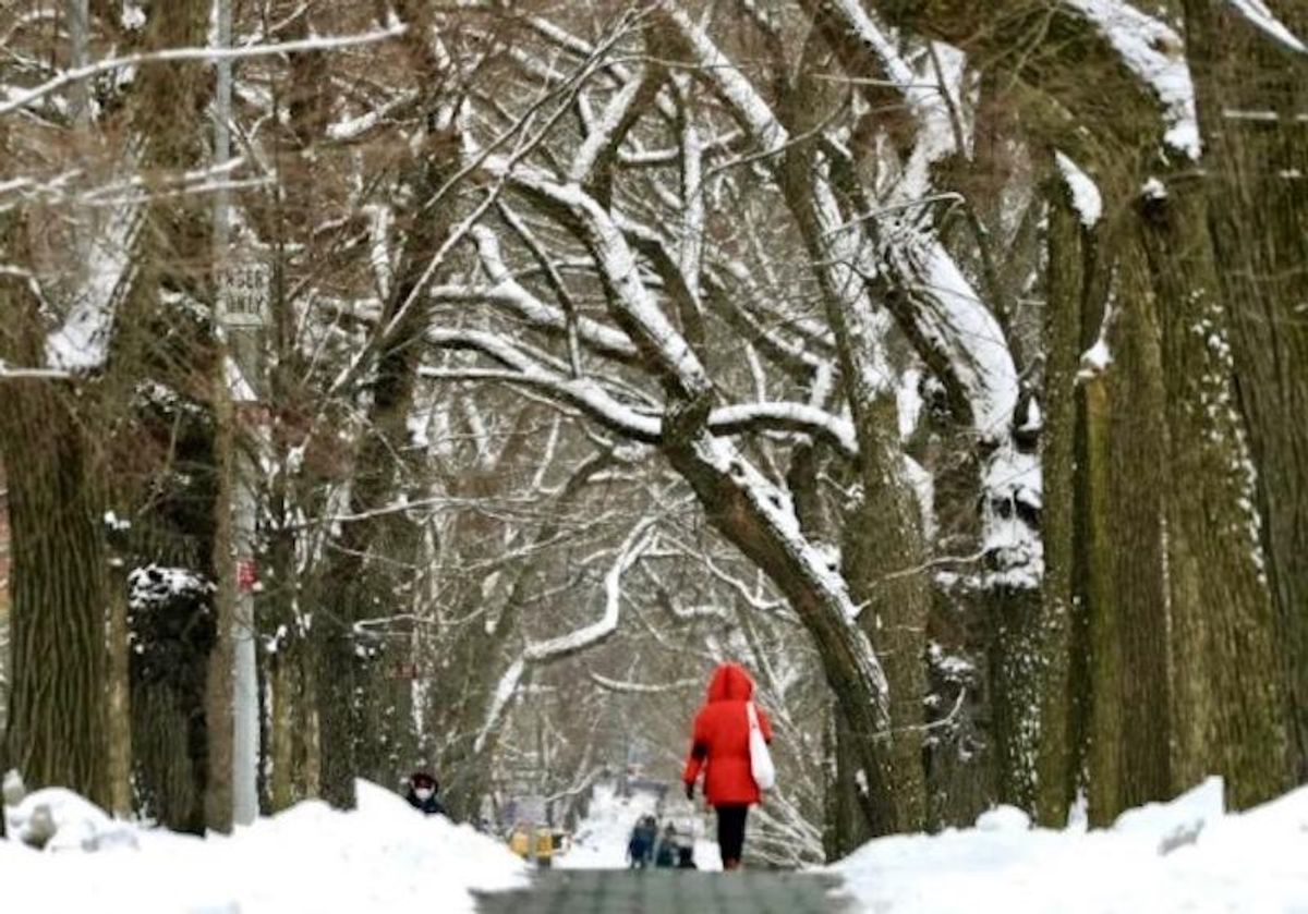 Wintry 'polar plunge' wallops much of US