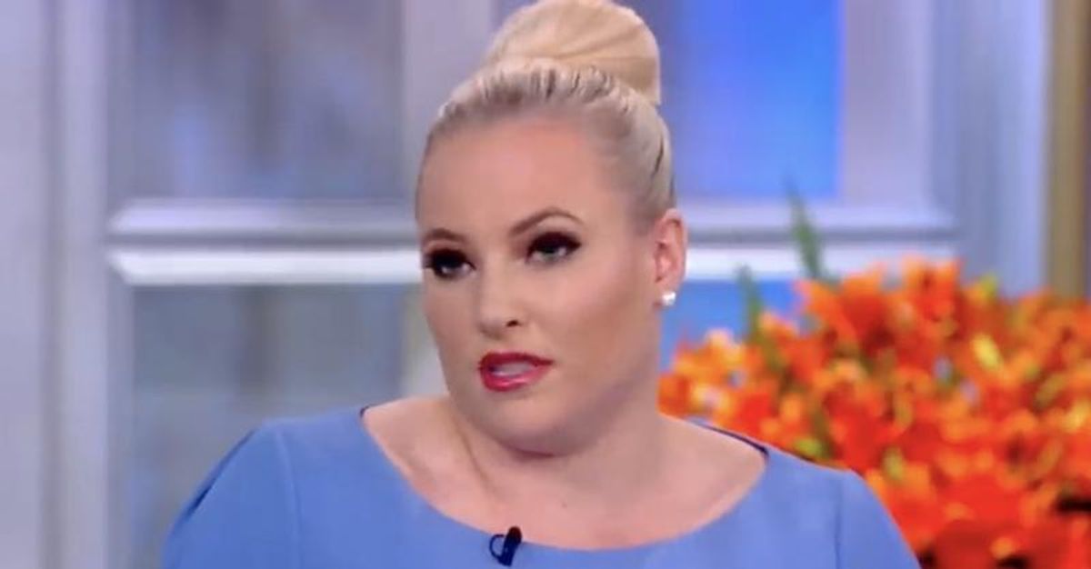 Meghan McCain slammed for suggesting barbed wire fences were put up around Congress because of impeachment