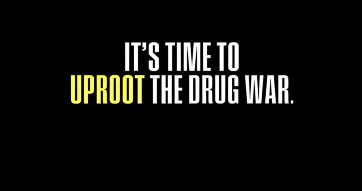 'Crucial' new project exposes how far-reaching US war on drugs 'has contaminated six critical systems'