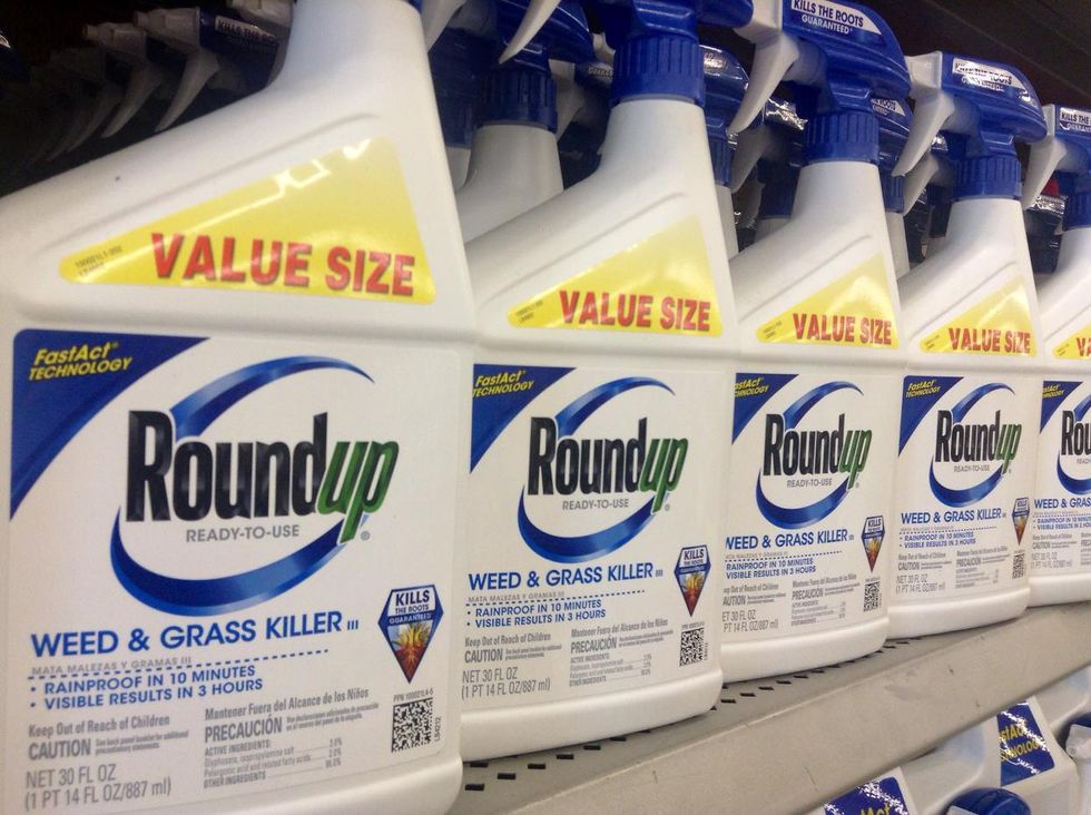 monsanto roundup