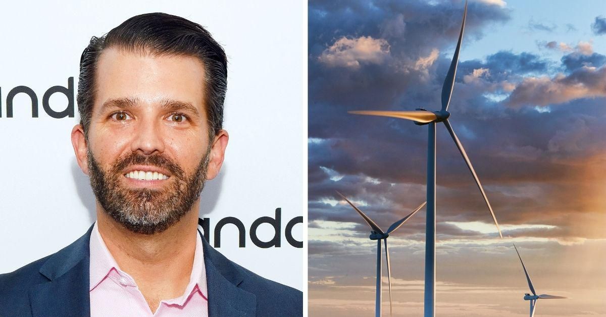 Don Jr. Dragged After Touting His Dad's Warnings About How 'Overrated' Wind Turbines Are