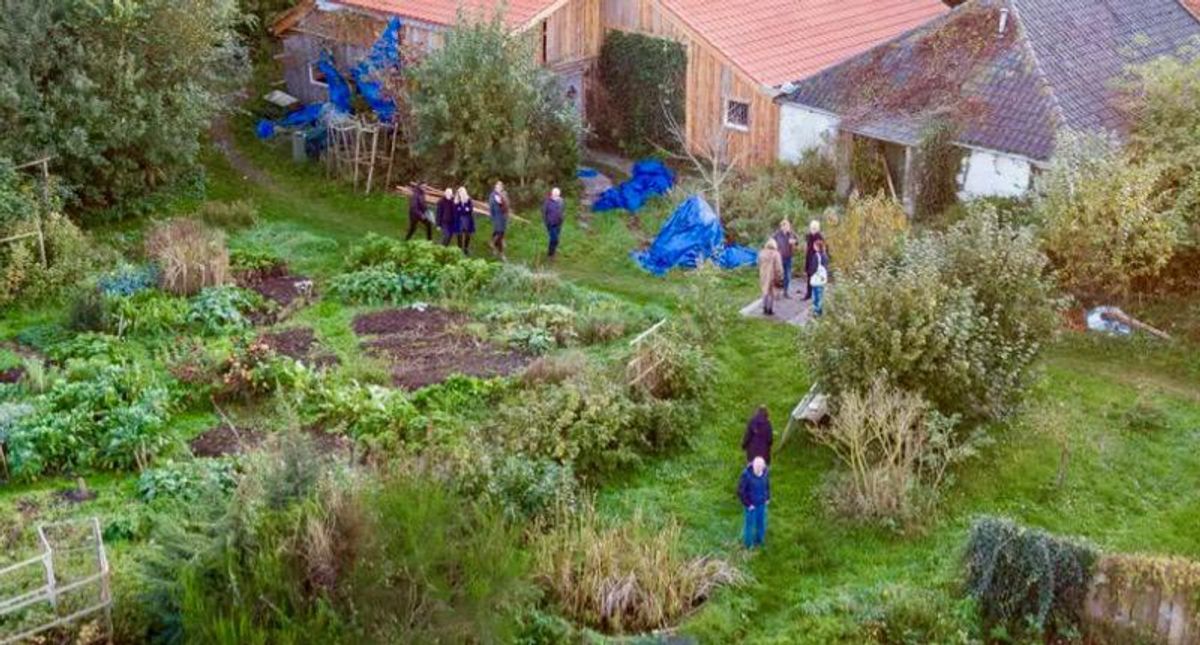 Dutch farm cult dad unfit for trial: prosecutors