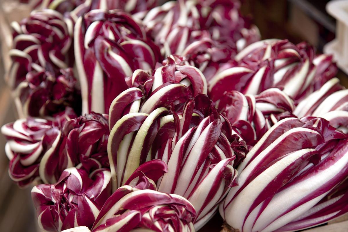 Da Milano a Gorizia tutte le strade portano al radicchio