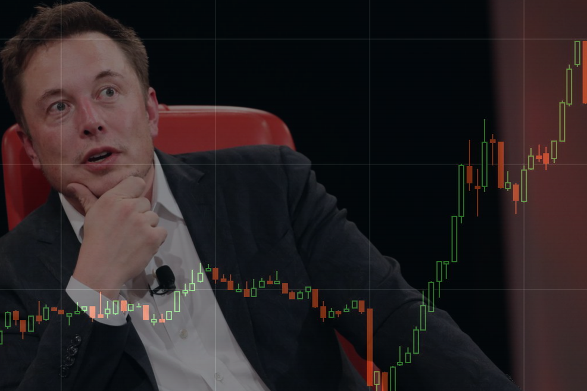 Elon Musk looking at a chart of bitcoin's rising price