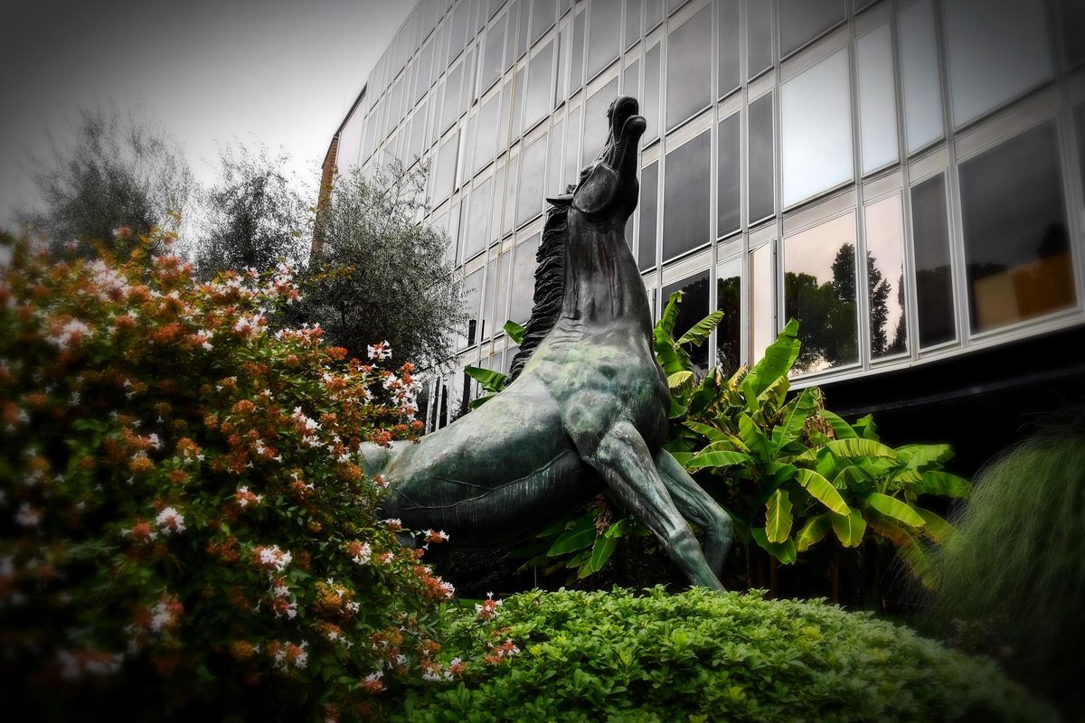 Rai 1 a trazione giallorossa affonda. E per farlo paga lavoratori esterni