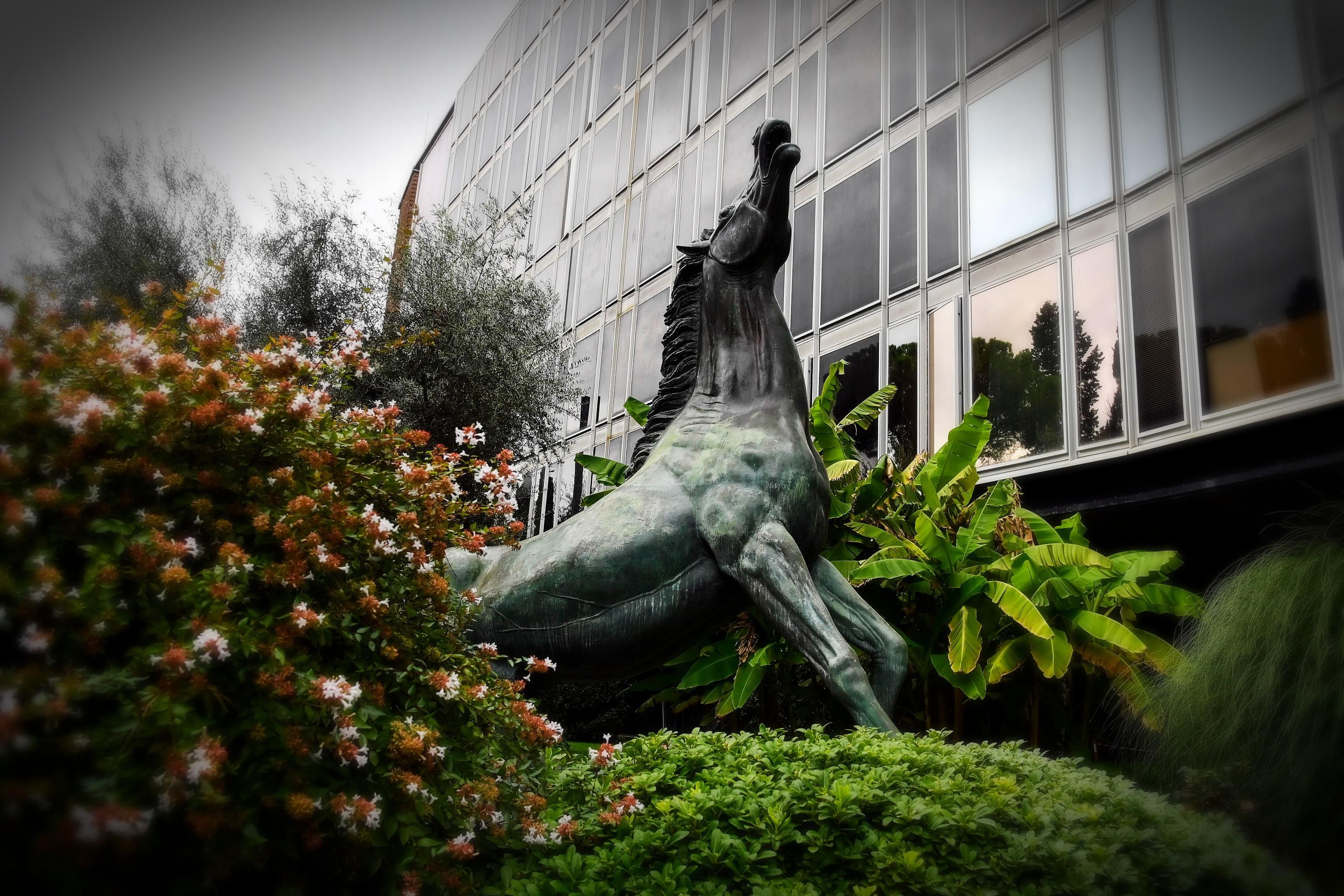 Rai 1 a trazione giallorossa affonda. E per farlo paga lavoratori esterni