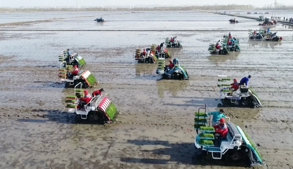 Il documentario di Cctv: la strategia cinese contro la povertà