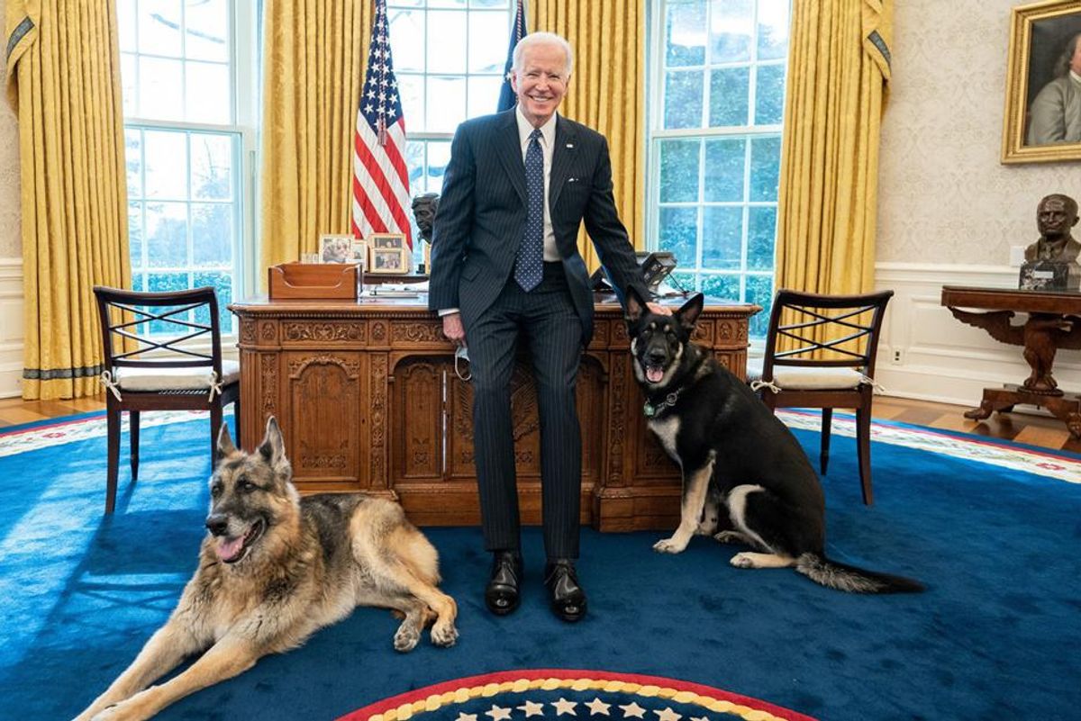 President Biden poses with his 'First Dogs' in a legendary Oval Office photoshoot