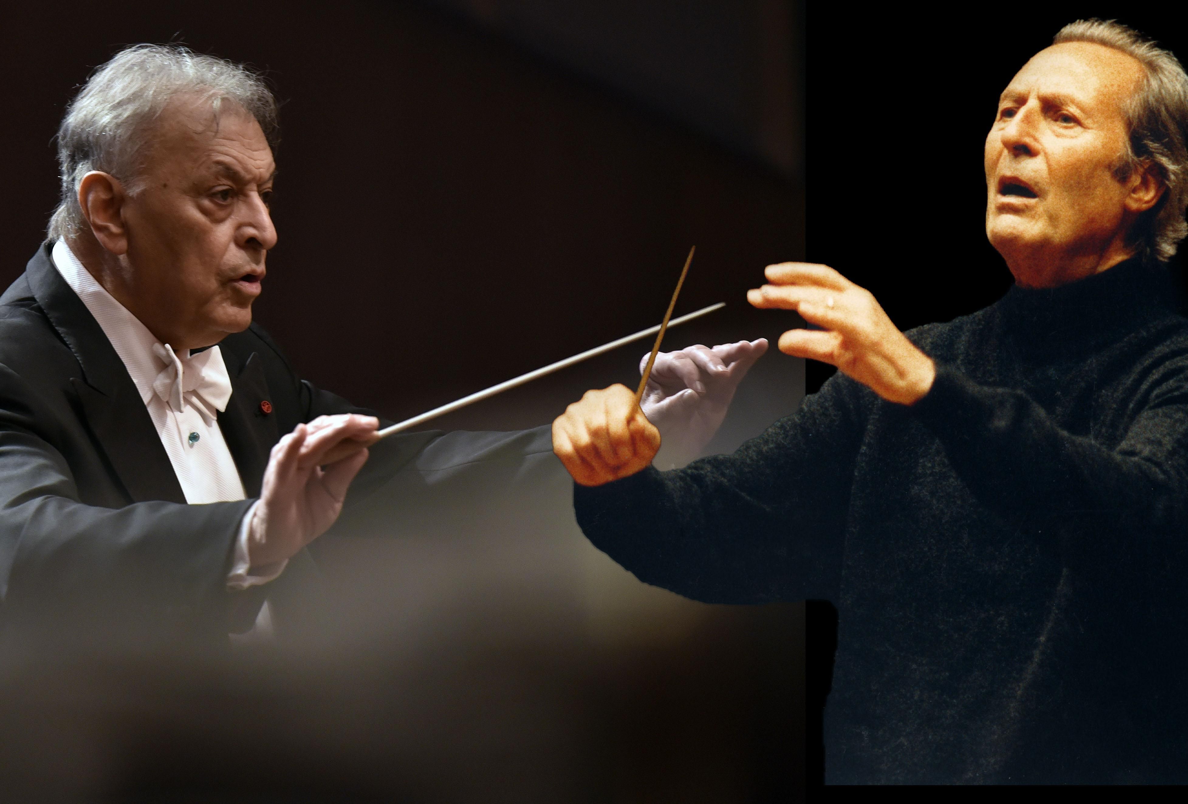 L’orchestra con un grande direttore si libra come gli uccelli migratori