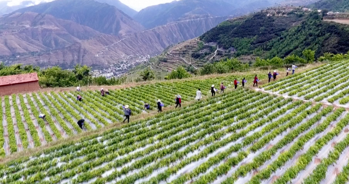 Il documentario di Cctv: la strategia cinese contro la povertà