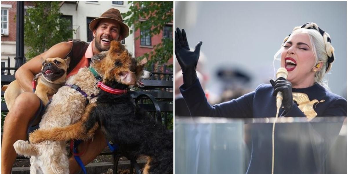 Lady Gaga S Dog Walker Is Recovering After Assailants Shot Him And Stole Her Two French Bulldogs Upworthy
