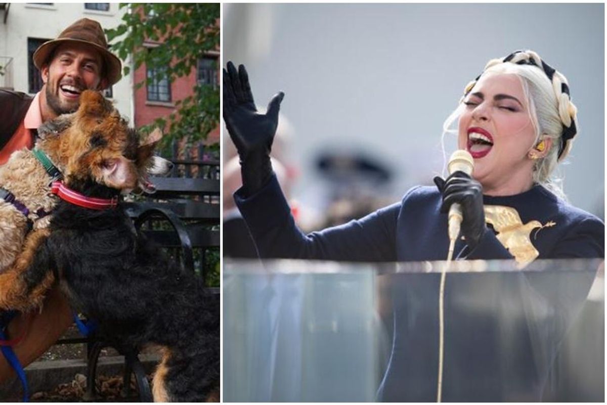 Lady Gaga's dog-walker is recovering after assailants shot him and stole her two French bulldogs