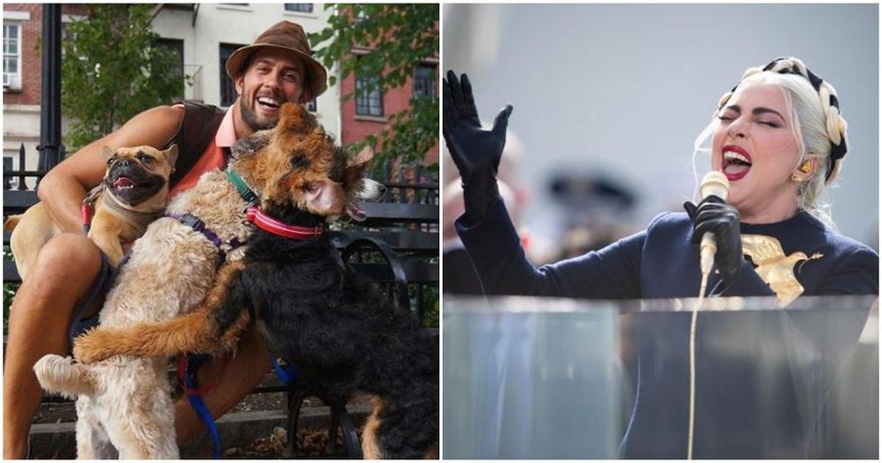 Lady Gaga S Dog Walker Is Recovering After Assailants Shot Him And Stole Her Two French Bulldogs Upworthy