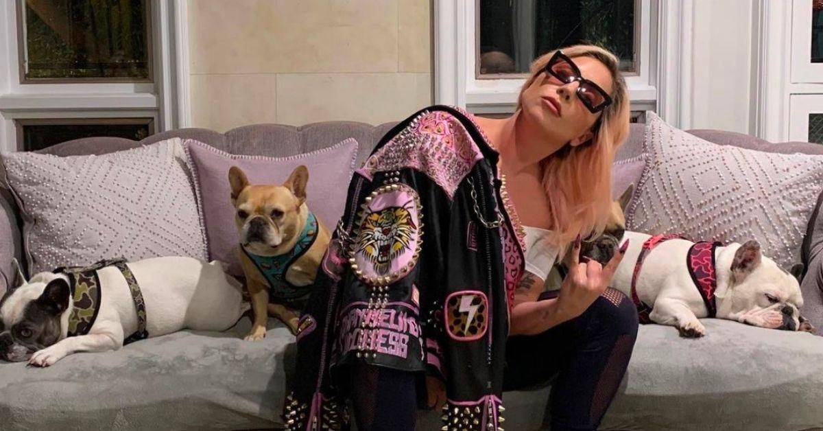 Lady Gaga Offers $500k Reward After Someone Shot Her Dog Walker And Stole Two Of Her Dogs