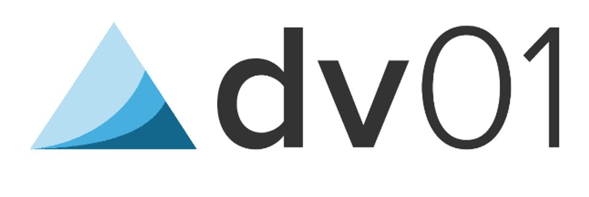 dv01: Looking at 2021 and Beyond: Cementing dv01 as The Data Hub for Lending Markets