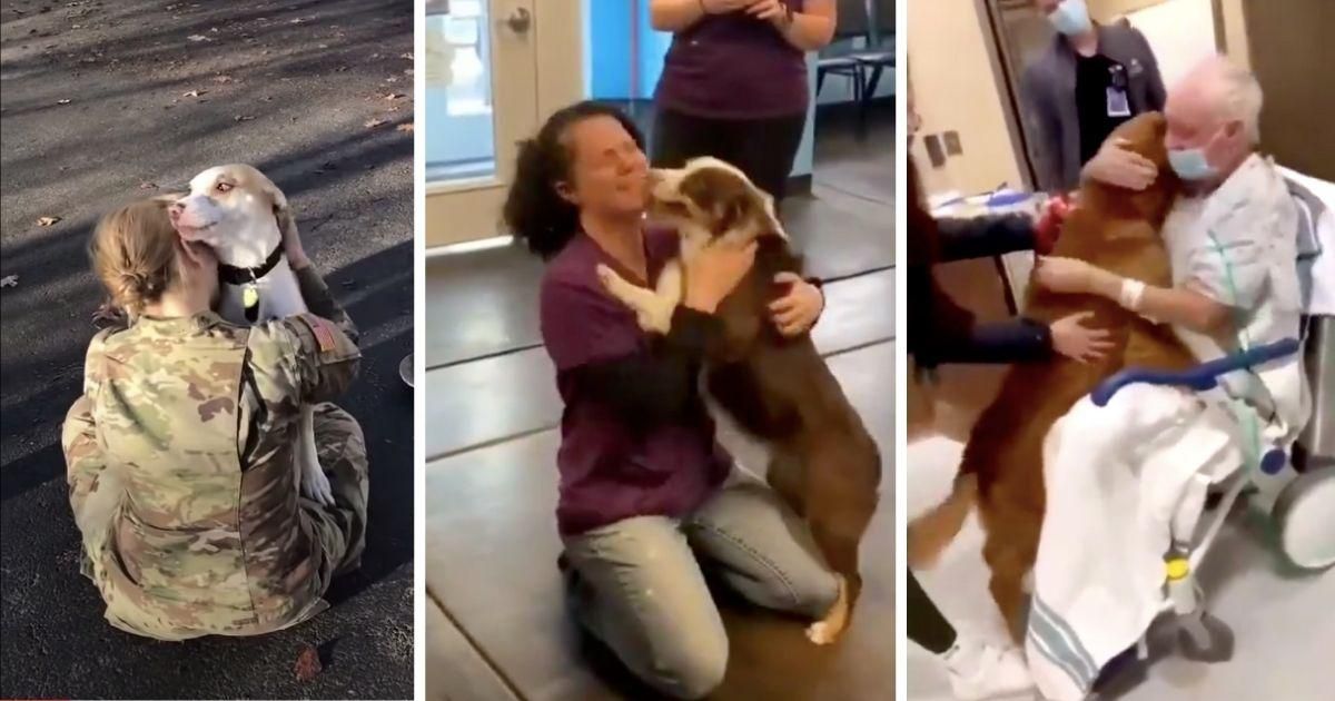 These images of Doggos being reunited with their favorite humans are a wave of pure joy