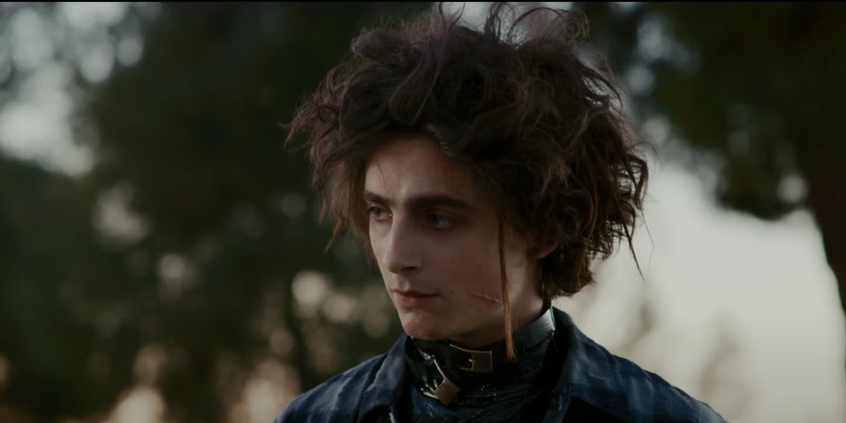 Timothée Chalamet Plays Edward Scissorhands' Son