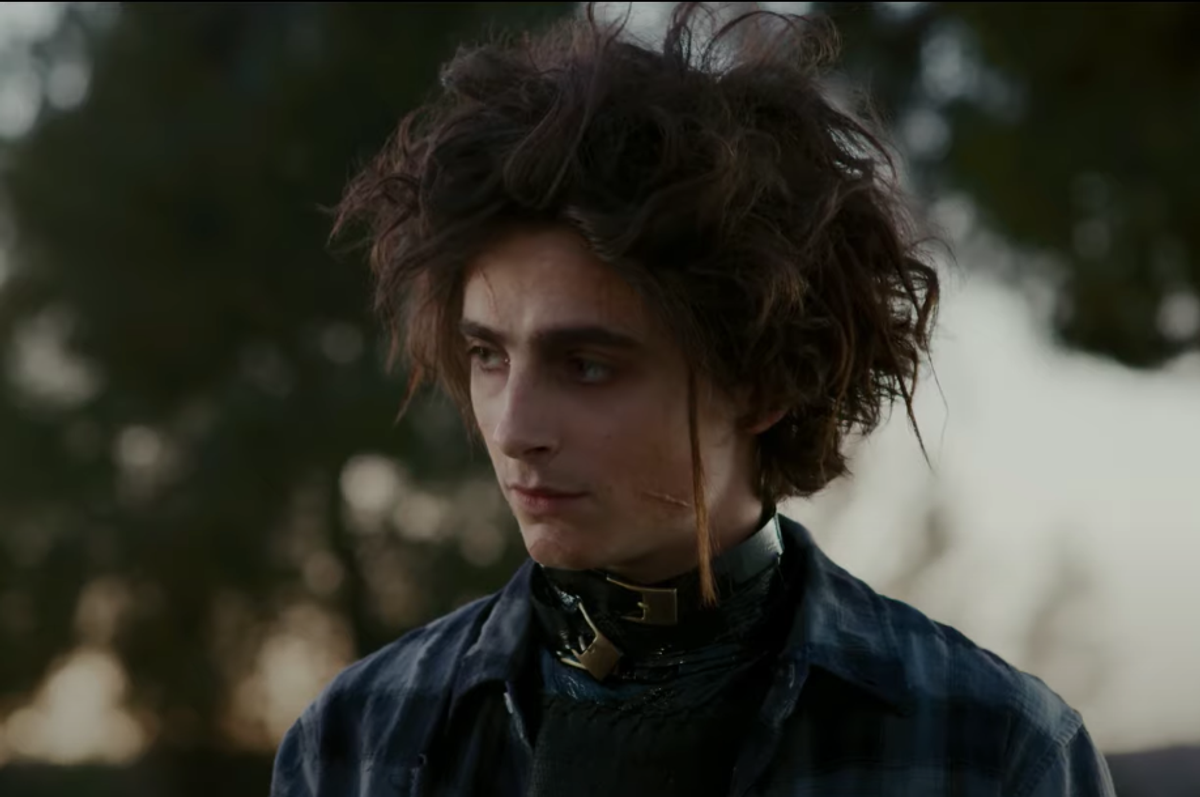 Timothée Chalamet's 'Edward Scissorhands' Hair and Makeup Is His