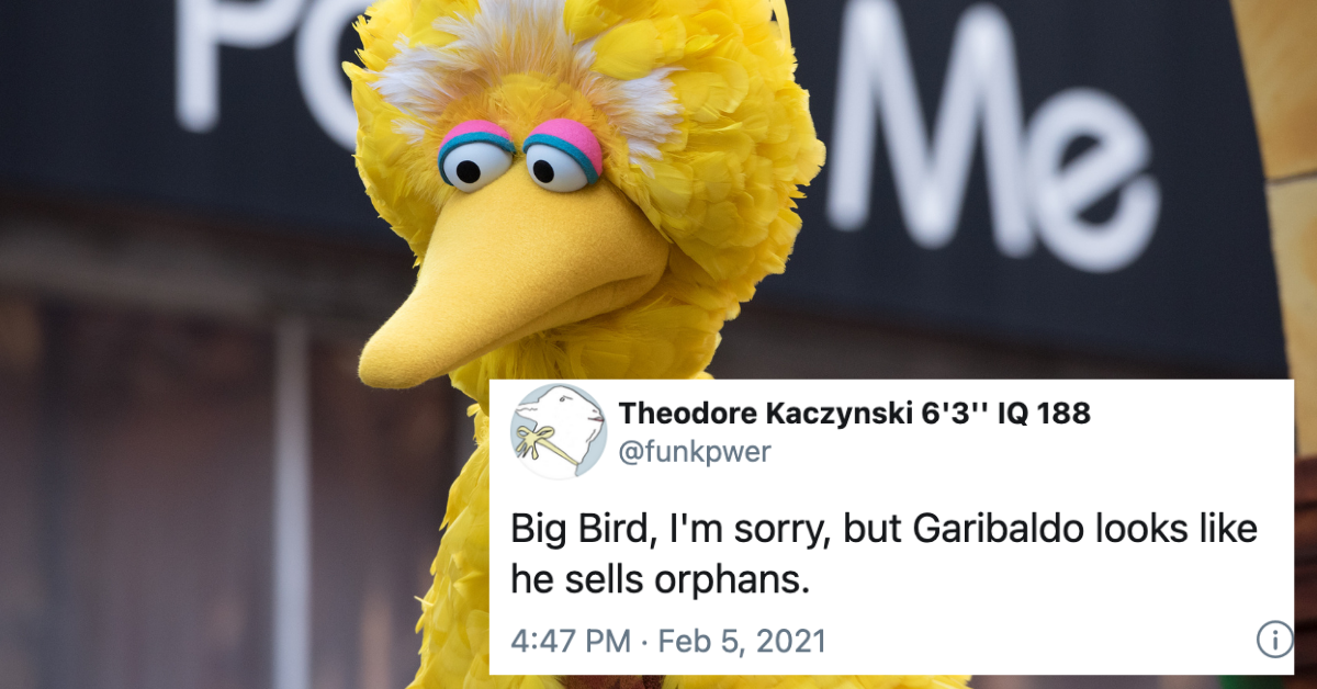 Big Bird Just Introduced Twitter To His 'Scary' Brazilian Cousin Garibaldo—And We're Not OK