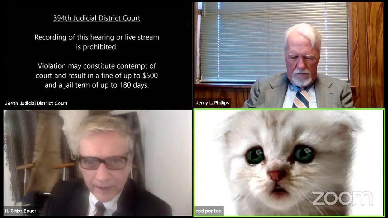 Texas lawyer accidentally turns on sad-faced kitten filter during court in hilarious Zoom mishap