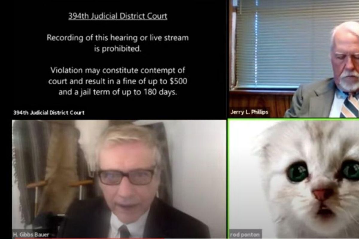 A Texas lawyer accidentally showed up to a court hearing with a Zoom kitten filter on