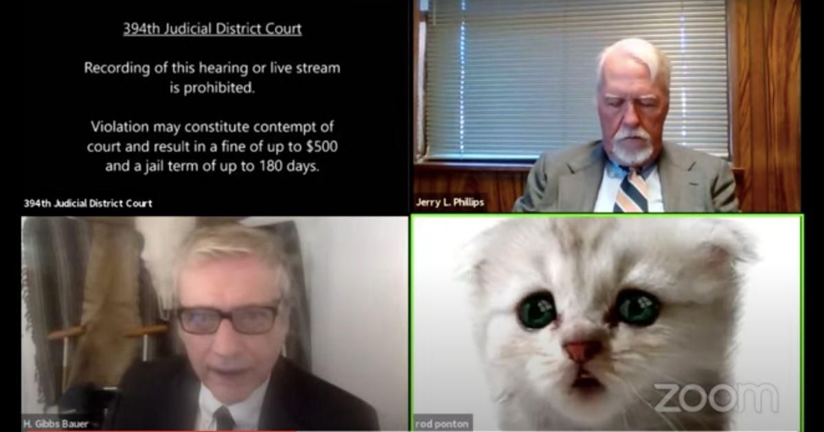 A Texas lawyer accidentally showed up to a court hearing with a Zoom kitten filter on