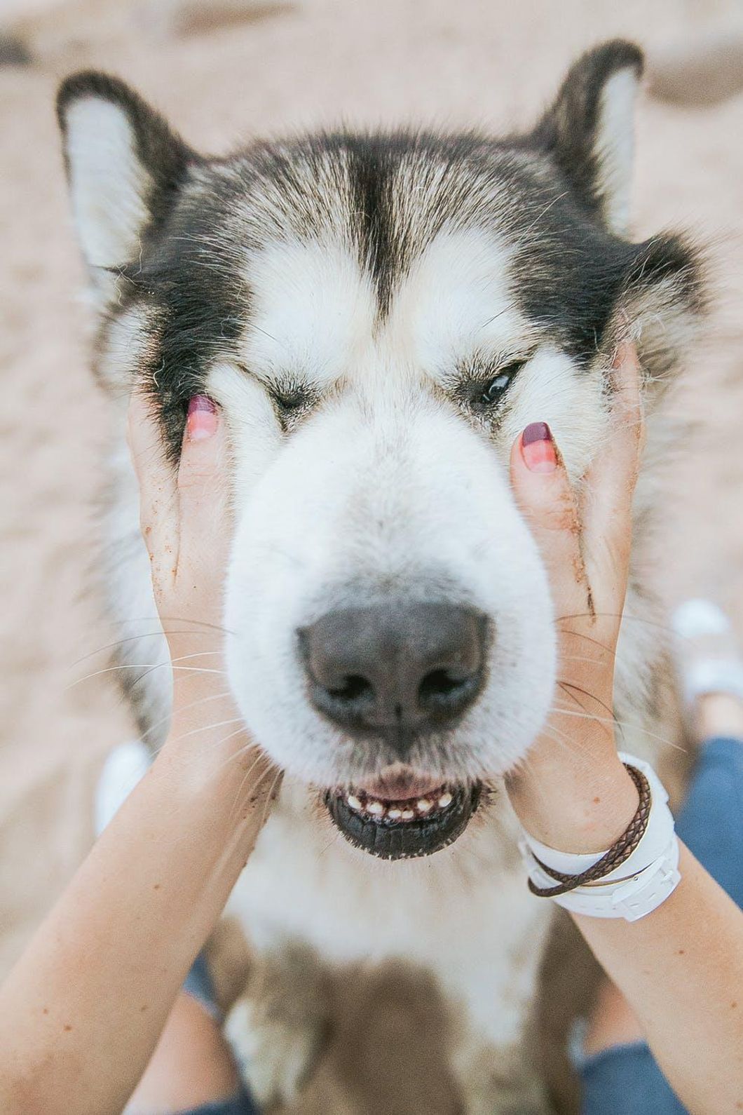 8 Ways To Pamper Your Dogs On Valentine's Day