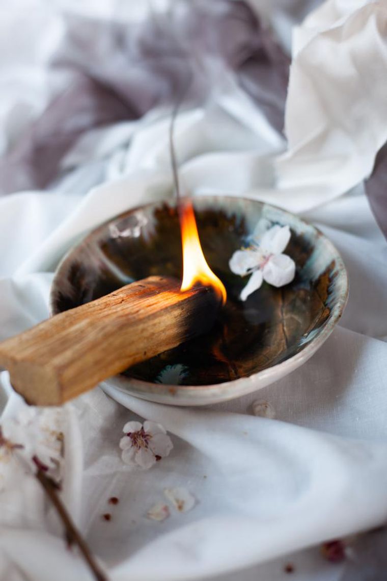 5 Benefits Of Using Palo Santo - xoNecole