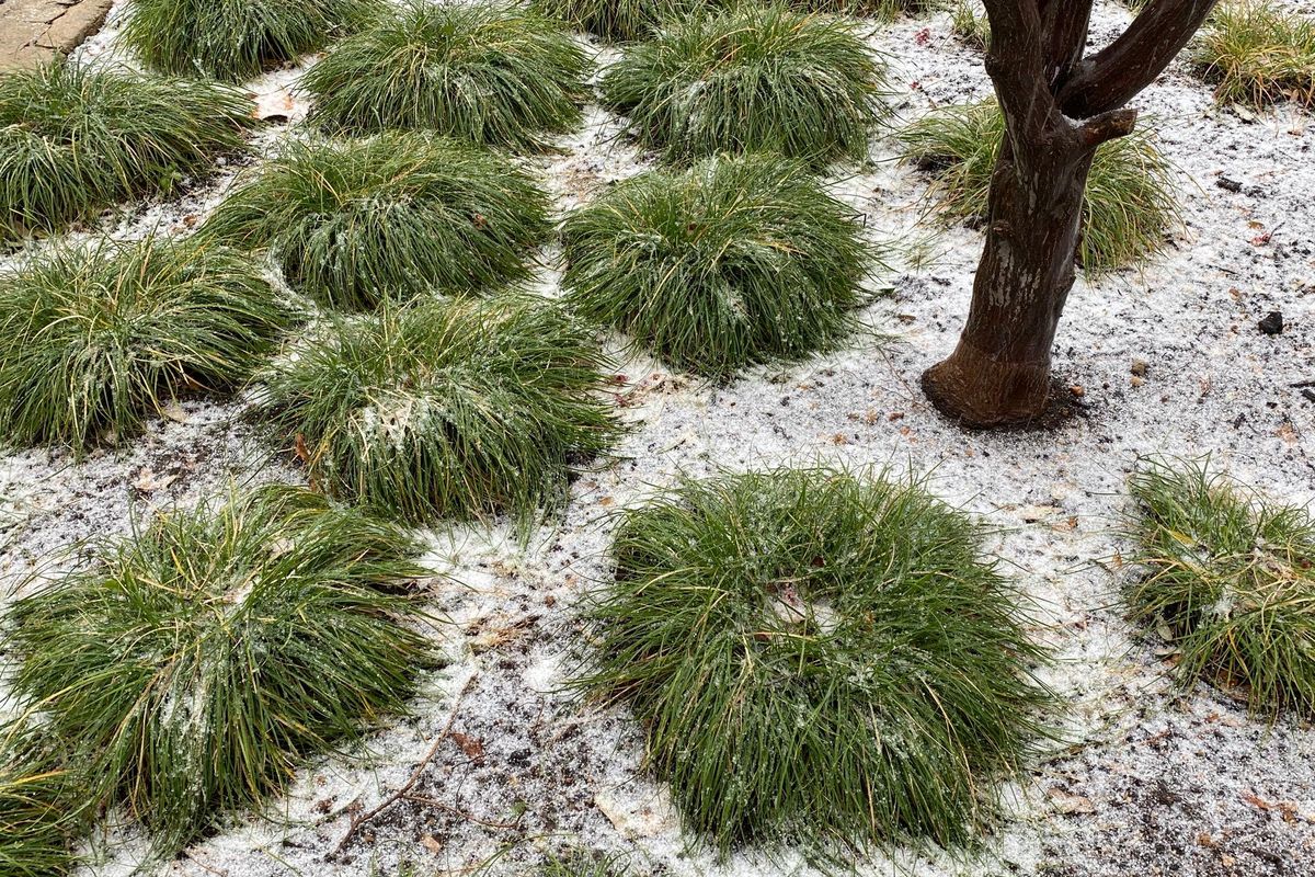 Arctic Austin: How to protect yourself and your home in freezing weather