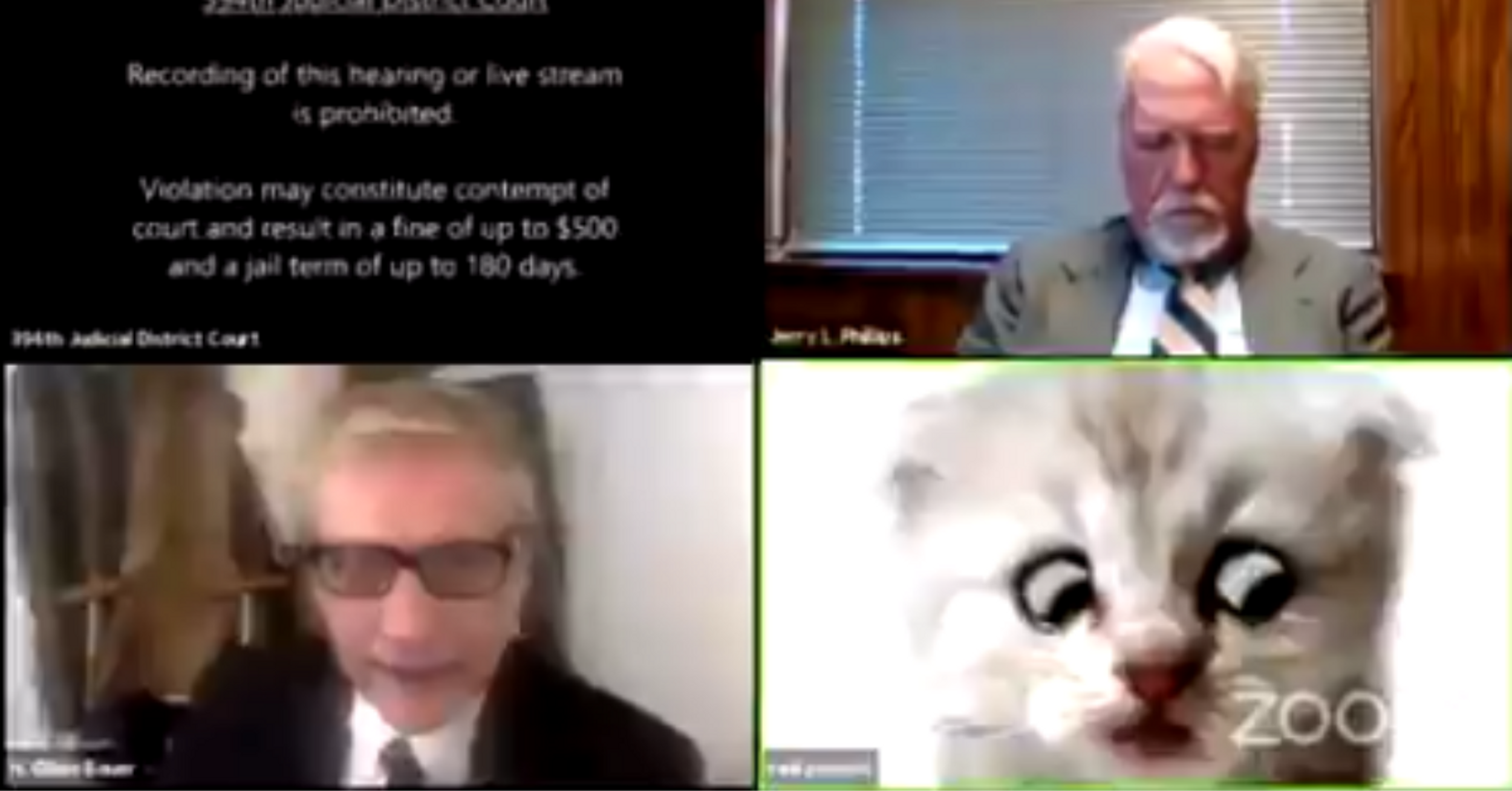 Viral 'Zoom Cat Lawyer' Allegedly Used Federal Agents To Harass A Former Lover With Drug Raids