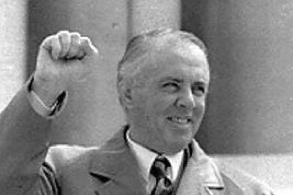 albanesi 1991