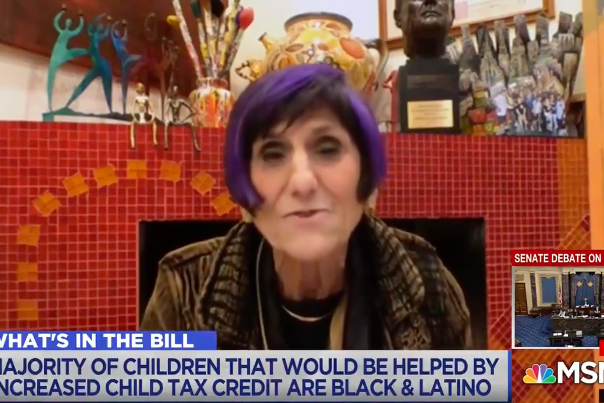 Democrats Gonna Cancel Child Poverty Right Along With Dr. Seuss!