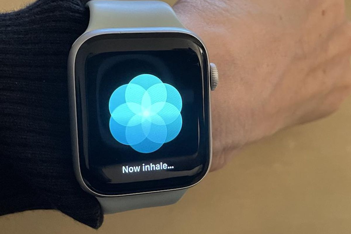Wrist Notes - the notes app made specifically for Apple Watch : r