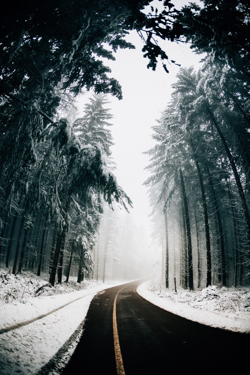 7 Activities To Fill Your Warm-Weather Winter Days