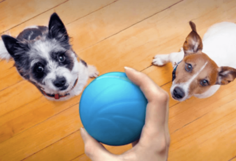 Cheerble Wicked Ball