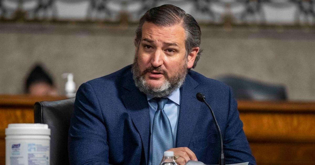 Ted Cruz Slammed For Crying Foul Over Biden's Non-Existent 'Ban' On Dr. Seuss Books