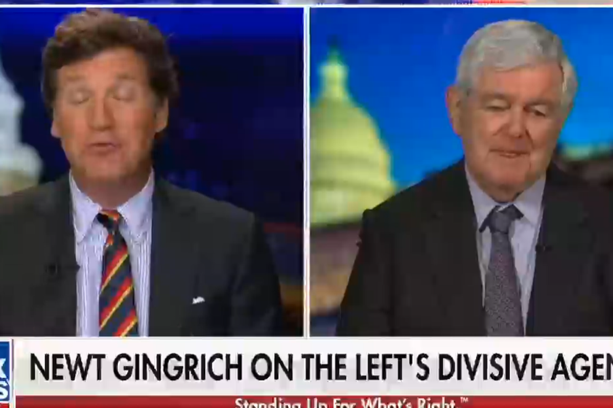 Newt Gingrich Knows What Liberals Are Like