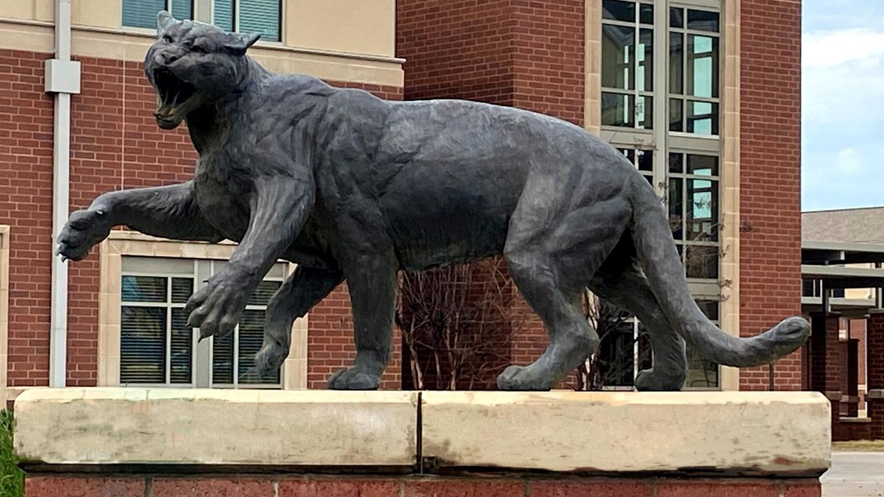 What is a Wampus cat, one of the South’s popular school mascots?